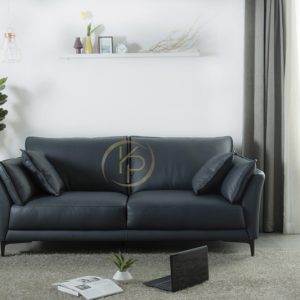 Ghế Sofa Cao Cấp KPN851 6 Ghế Sofa Cao Cấp KPN851 - Ảnh 3